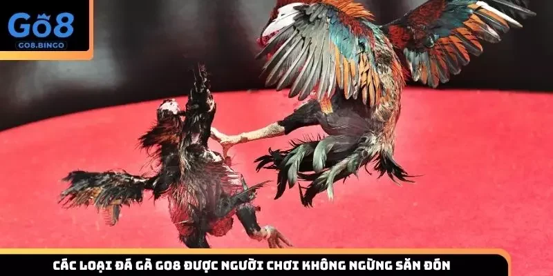 Cùng khám phá những hình thức đá gà tại nhà cái uy tín Go8