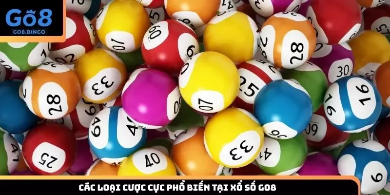 Điểm qua các loại cược phổ biến tại sân chơi trực tuyến Go8