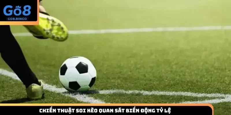 Chiến thuật soi kèo quan sát biến động tỷ lệ