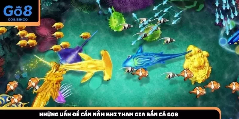 Lưu ý cơ bản giúp quá trình săn cá đại dương được thuận lợi