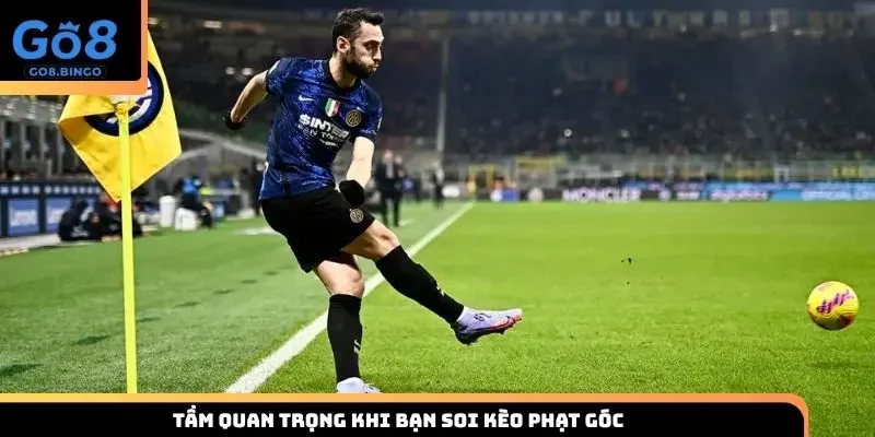 Tầm quan trọng khi bạn soi kèo phạt góc