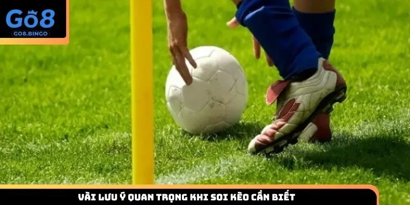 Vài lưu ý quan trọng khi soi kèo cần biết