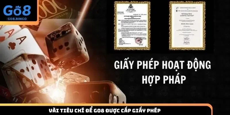 Vài nét cơ bản về giấy phép hoạt động Go8